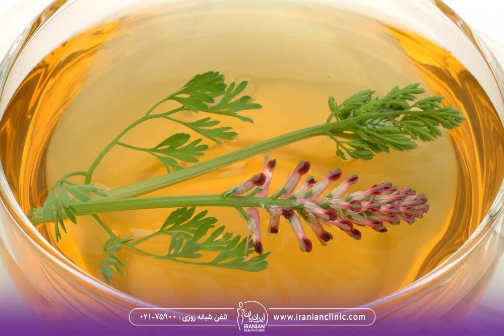 دمنوش شاتره