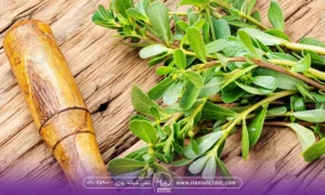 یک زمینه چوبی که روی آن یک وردنه و گیاه خرفه قرار دارد