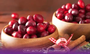 دو تا کاسه چوبی که درون کاسه مقداری زغال اخته قرار دارد