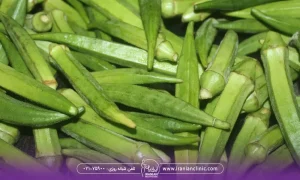 بامیه های سبز از نزدیک - بامیه برای لاغری