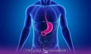 تصویر آبی رنگ از بدن یک فرد که شفاف است و معده او با رنگ صورتی مشخص شده است