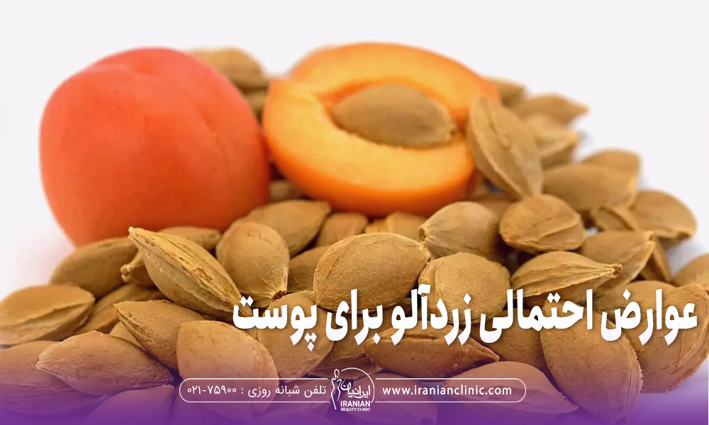 یک زردآلو کامل و یک زرد آلو نصفه که تعداد زیادی هسته زردآلو زیر آنها ریخته است