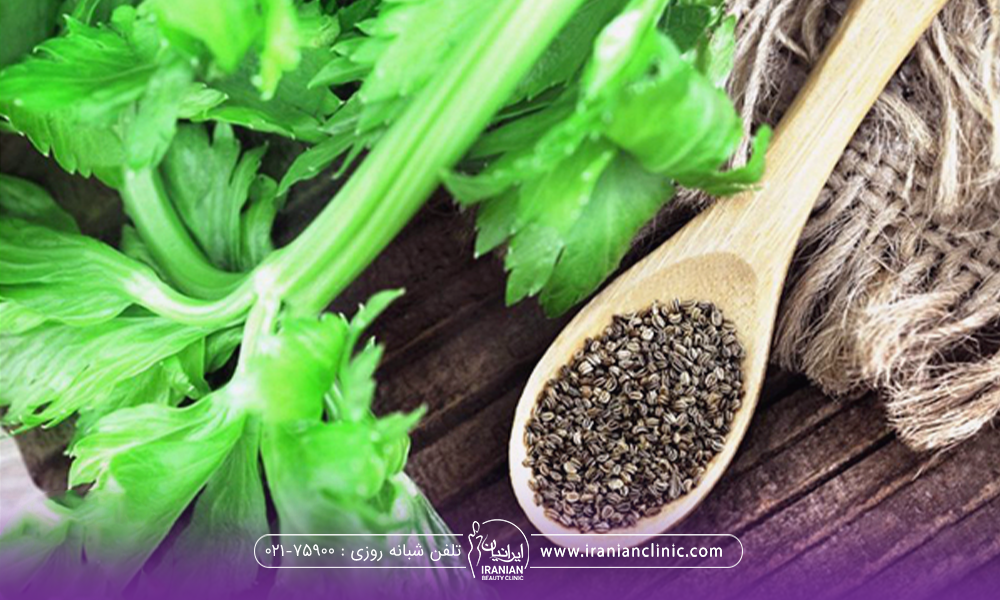 عکس از کرفس و یک قاشق چوبی که کنار کرفس است که در آن دانه های کرفس است - تخم کرفس برای لاغری