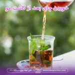 خوردن چای بعد از کاشت مو